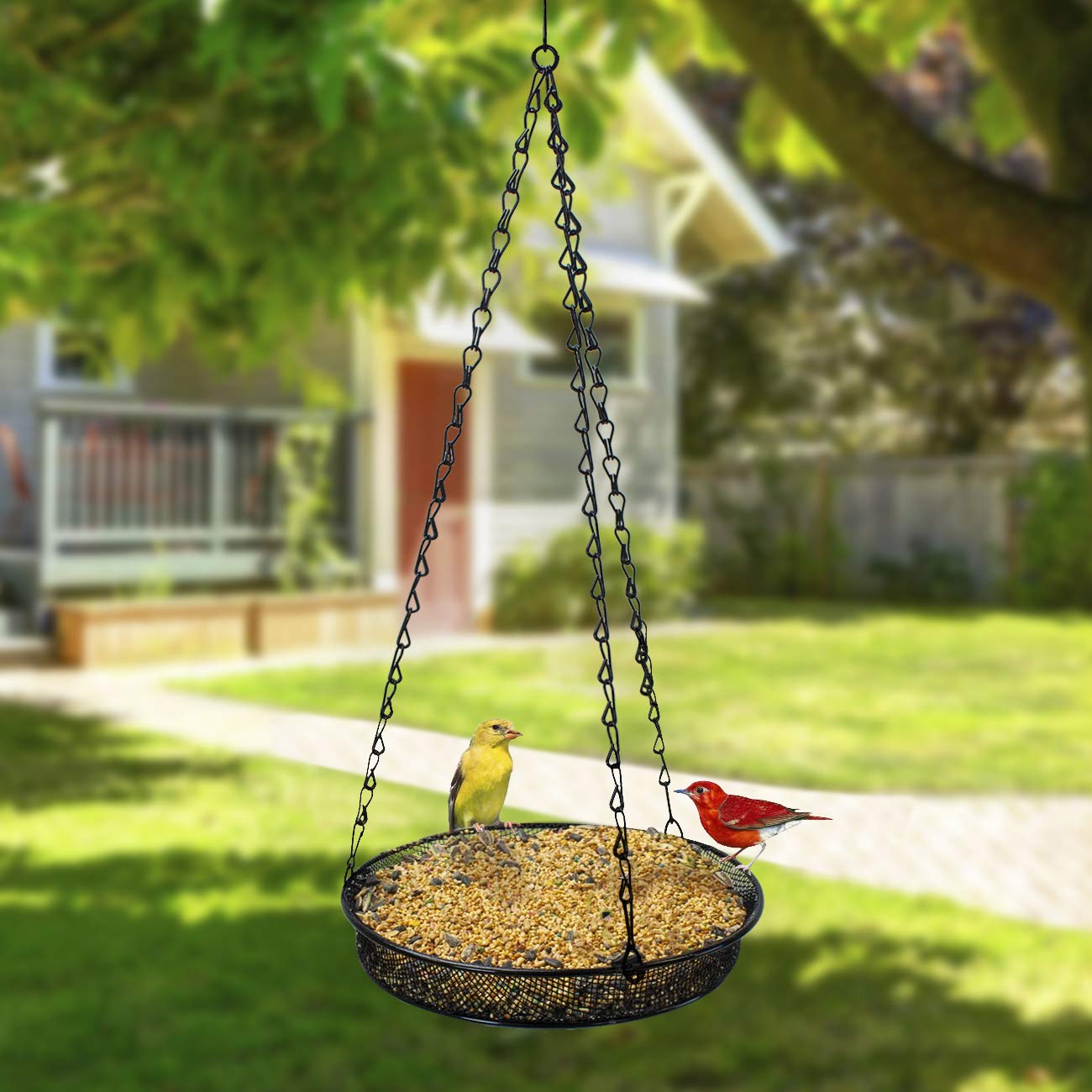 Sorbus Bird Feeder Hanging Tray, Seed Tray for Bird Feeders, Great for Attracting Birds Outdoors, Backyard, Garden (Black) - Image 4
